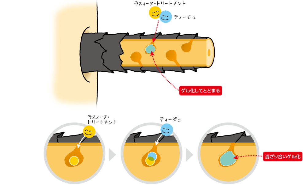 頭皮・毛髪を熱や摩擦から保護