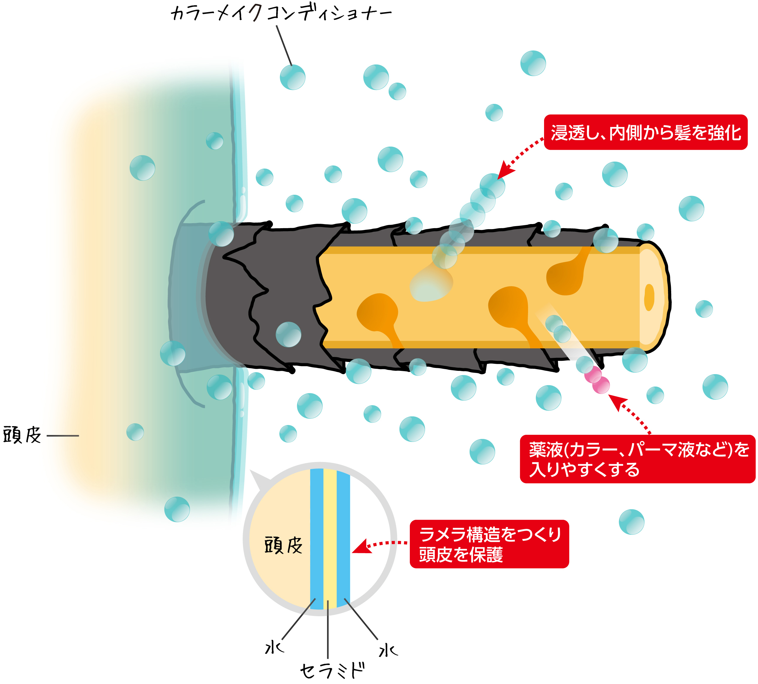 頭皮・毛髪を熱や摩擦から保護