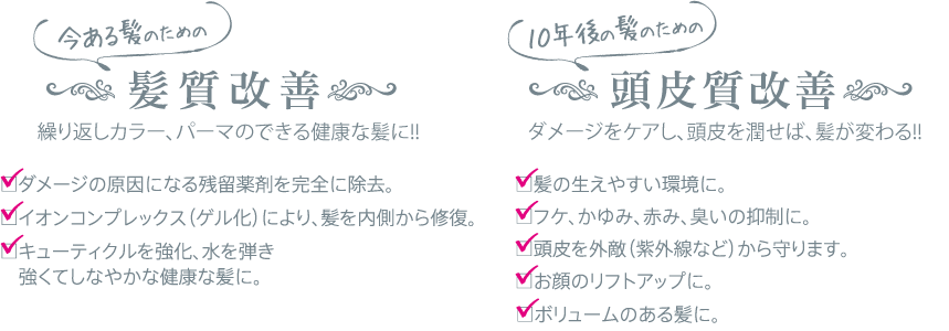 今ある髪のための髪質改善 / 10年後の髪のための頭皮質改善